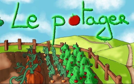 Protégé : POTAGER (8 août 2017)