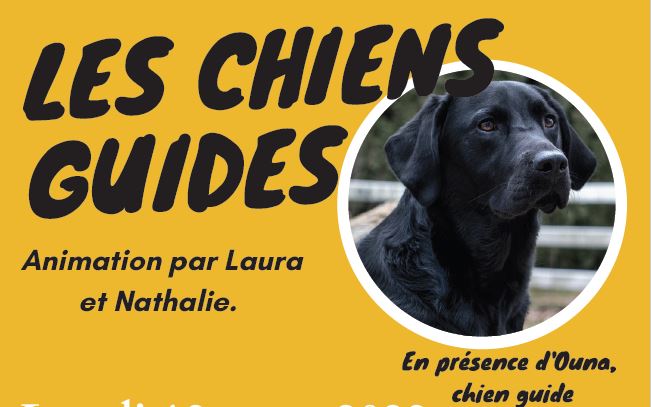 Intervention des chiens guide d’aveugles